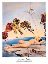 awww.poster.net_dali_salvador_dali_salvador_dream_caused_by_the_flight_2102776.jpg