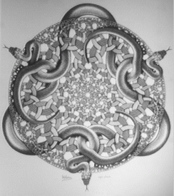 awww.math.technion.ac.il__rl_M.C.Escher_2_escher_snakes.gif