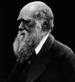 awww.mun.ca_biology_scarr_Darwin_portrait.gif