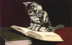 awww.amorak.net_ReadingCat.jpg