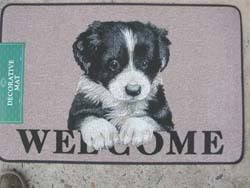 ai107.photobucket.com_albums_m284_ladycordelia_Decorative20carpet20Border20Collie2.jpg