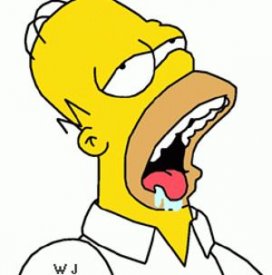 astatic.twoday.net_anima_images_homer_simpson.jpg