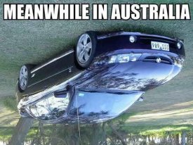 ai5.photobucket.com_albums_y187_sparkchaser1998_bimmerforums_lol_meanwhileinaustralia.jpg