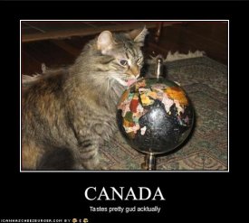 alaurenoutloud.com_main_wp_content_uploads_2010_01_funny_pictures_cat_likes_how_canada_tastes.jpg