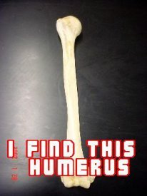 ai5.photobucket.com_albums_y187_sparkchaser1998_THH_humerus.jpg