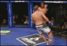 a4gifs.com_gallery_d_174986_1_MMA_cage_spin_kick.gif