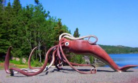 apingmag.jp_images_article_big_octopus.jpg